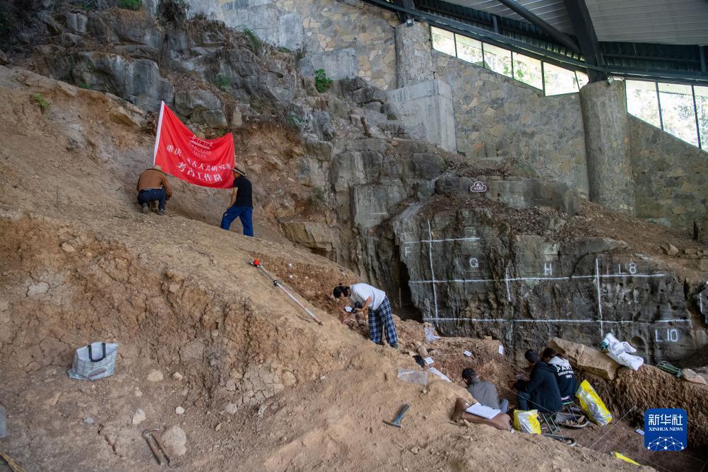 世爵登录地址6